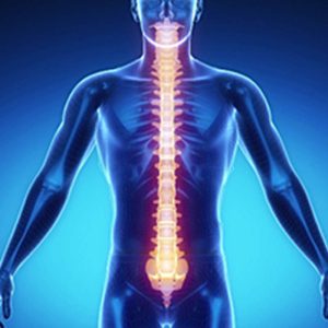 Hal Penting Tentang Tk Dan Sd Yang Perlu Diketahui Fondasi Emas Masa Depan Anak