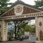 Panduan Lengkap Masuk Ulm Kalsel Jalur Seleksi Syarat Dan Biaya Terbaru