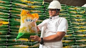 Beras Sphp Diduga Oplosan Di Kubu Raya Viral Bulog Minta Warga Lapor