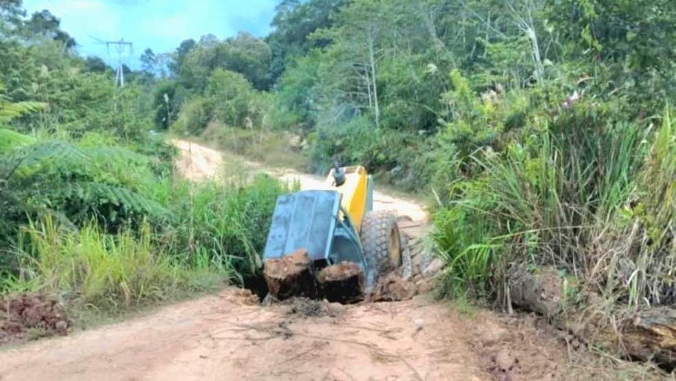 Jembatan Ambruk Di Nunukan Diperbaiki Warga Bahu Membahu Bawa Gergaji Mesin