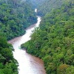 Bertaruh Nyawa Motoris Longboat Jaga Urat Nadi Ekonomi Pedalaman Kaltara