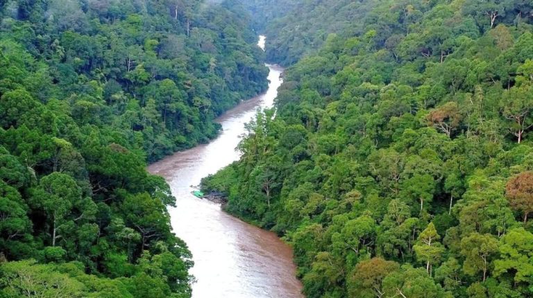 Bertaruh Nyawa Motoris Longboat Jaga Urat Nadi Ekonomi Pedalaman Kaltara