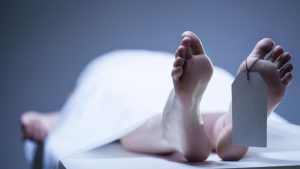 Ojek Terserempet Truk Trailer Di Jakut Penumpang Lansia Tewas Terlindas